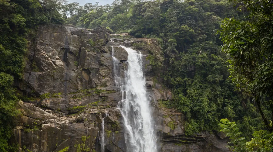 A waterfall cascading through dense green jungle